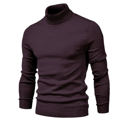 Emil turtleneck sweater in silky virgin wool